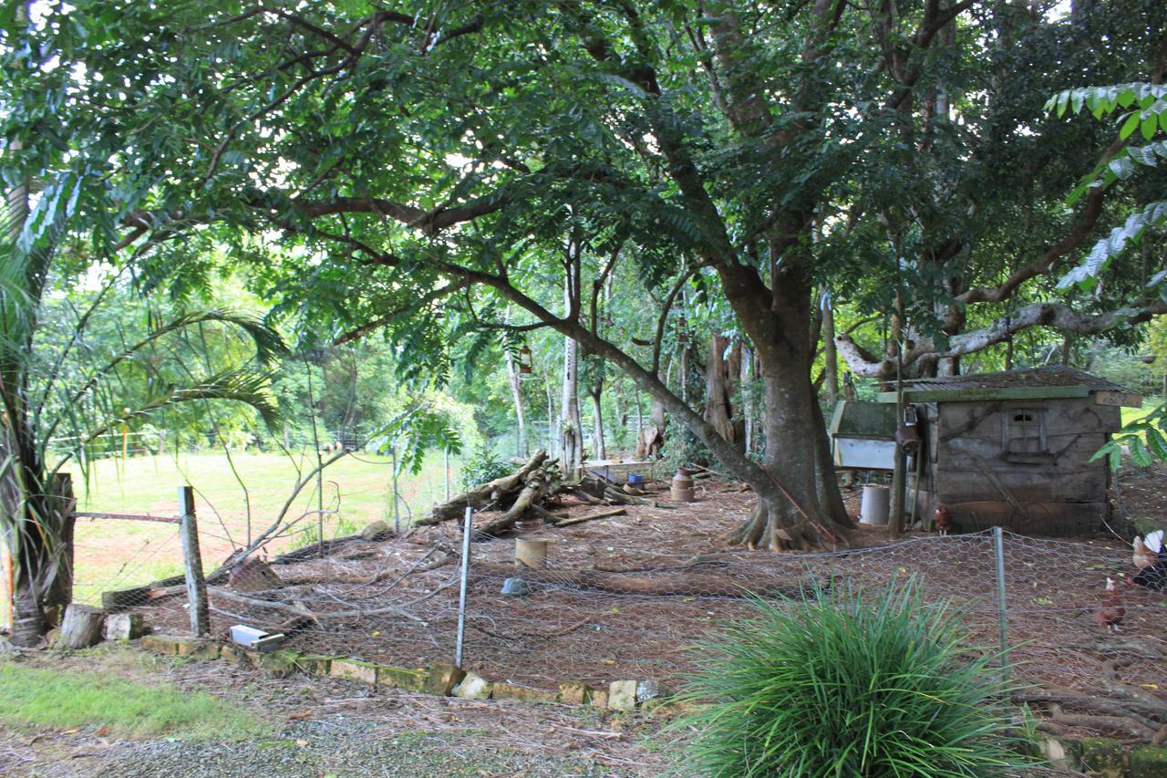 Country Alstonville
